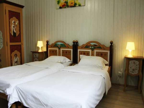 Hotel Casa Romaneasca Otopeni Buitenkant foto