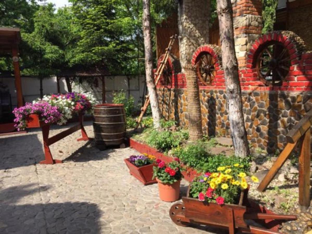 Hotel Casa Romaneasca Otopeni Buitenkant foto